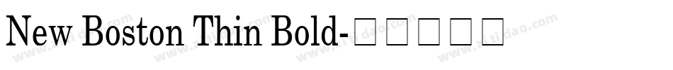 New Boston Thin Bold字体转换